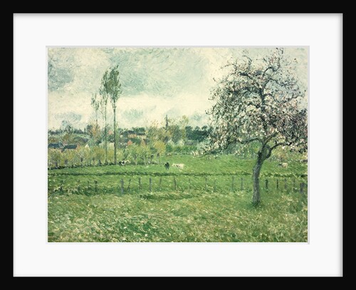 Meadow at Eragny, 1885 by Camille Pissarro