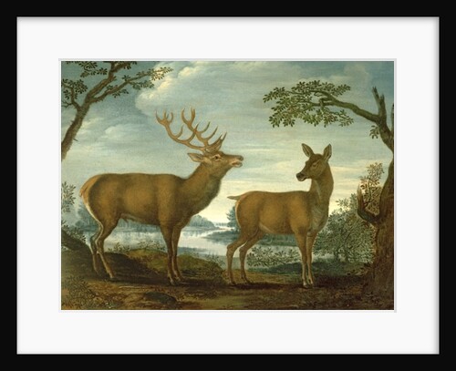 Stag and hind in a wooded landscape by German School