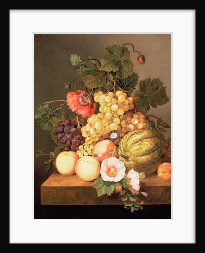 Still life with fruit by Johannes Cornelis Bruyn