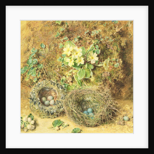 Primroses and Birds' Nests by William Henry Hunt