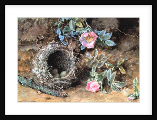 Wild Roses and Birds' Nests by William Henry Hunt
