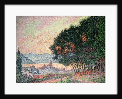 Forest near St. Tropez, 1902 by Paul Signac