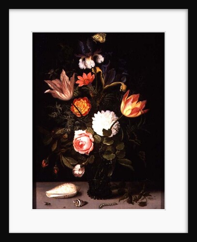 Still Life of Flowers in a Roemer with Two Shells by Balthasar van der Ast
