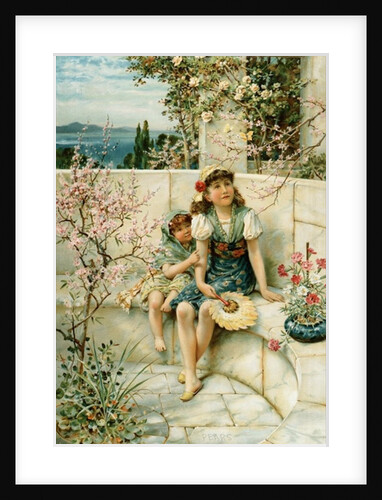 Butterflies by William Stephen Coleman