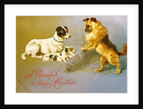 Puppies in the Straw, Victorian postcard by Anonymous