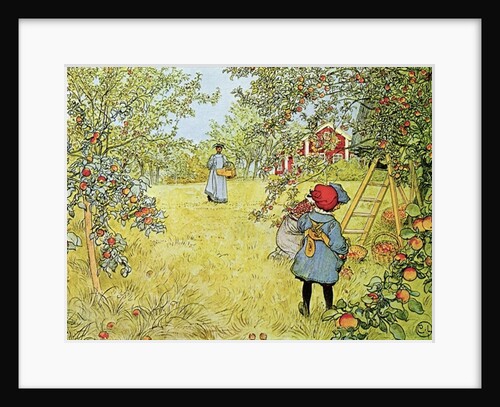 The Apple Harvest, 1903 by Carl Larsson