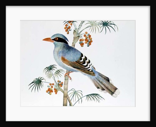 Green Magpie, Ch'ien-lung period by Qing Dynasty Chinese School