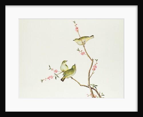 White-Eye bird, Ch'ien-lung period by Qing Dynasty Chinese School