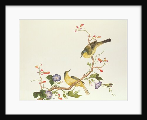 Yellow Wagtail with blue head, Ch'ien-lung period by Qing Dynasty Chinese School