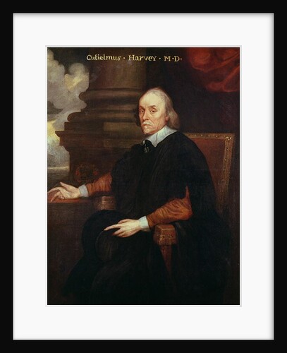 William Harvey Royal physician, 17th century by Anonymous Anonymous