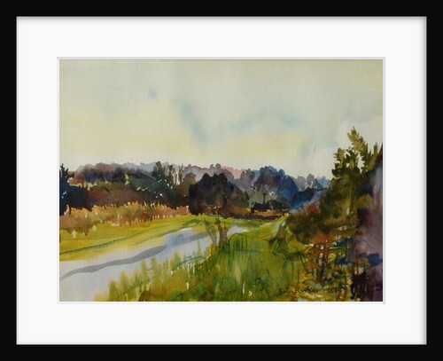 Country Road, 1980 by Brenda Brin Booker