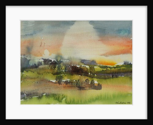 After Rain, 1981 by Brenda Brin Booker