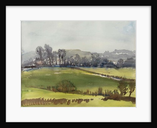 Winter Corn, 1980 by Brenda Brin Booker