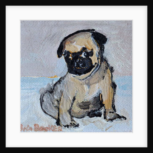 Vincent, the pug puppy by Brenda Brin Booker