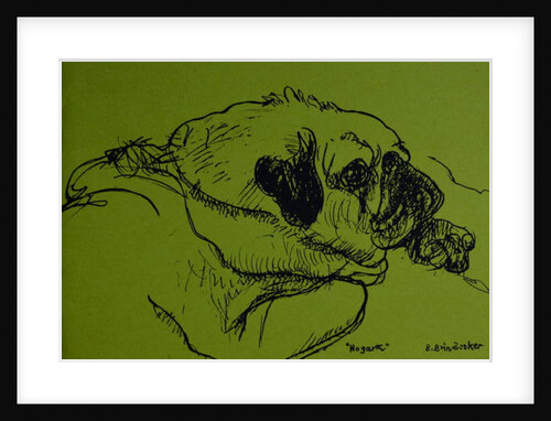 Hogarth by Brenda Brin Booker