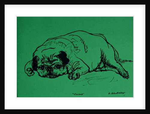 Vincent by Brenda Brin Booker