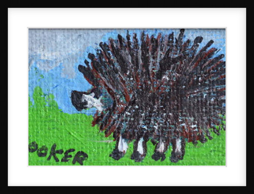 Hedgehog by Brenda Brin Booker