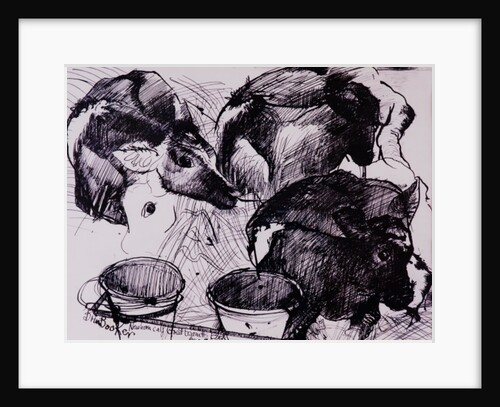 Calves, damp, newborn, 1978 by Brenda Brin Booker