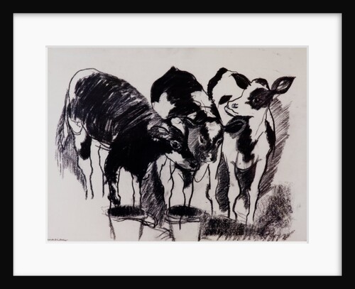 The New Calves by Brenda Brin Booker
