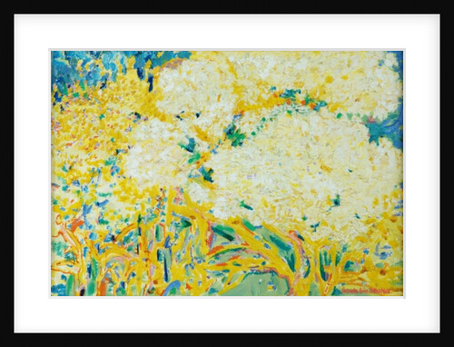 The Elderflower Tree by Brenda Brin Booker