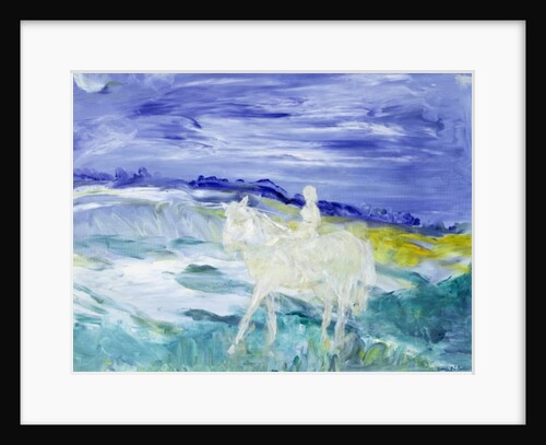 The Rider by Brenda Brin Booker