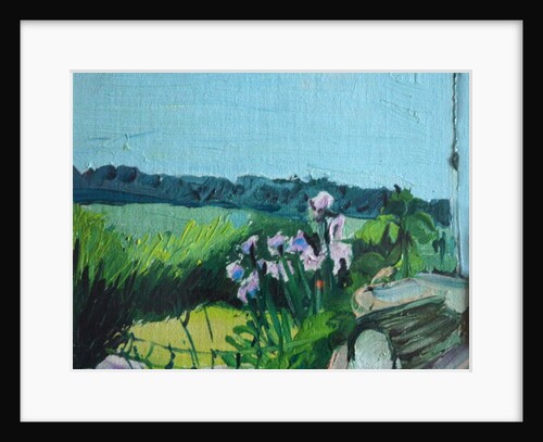 Irises in the Garden by Brenda Brin Booker