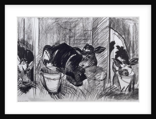 Calves by Brenda Brin Booker