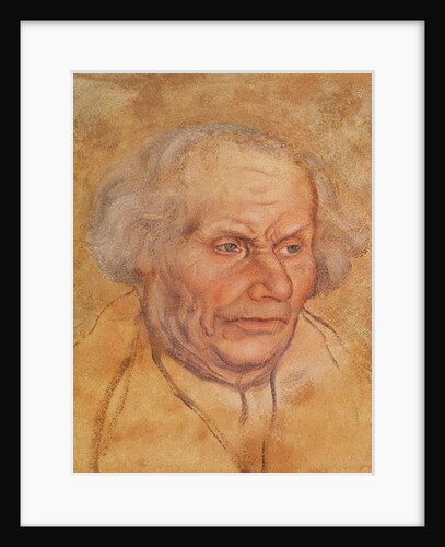 Portrait of Hans Luther, Father of Martin Luther by Lucas the Elder Cranach