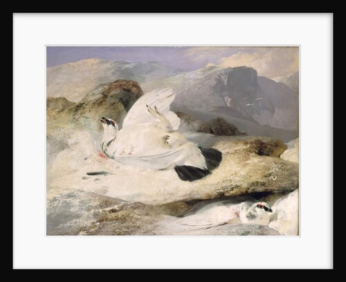 Ptarmigan by Edwin Landseer