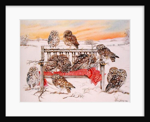 Little Owls on Twig Bench, 1999 by E.B. Watts