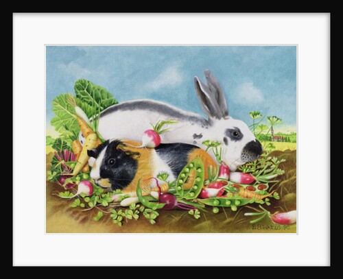 Rabbit and Guinea Pig, 1998 by E.B. Watts