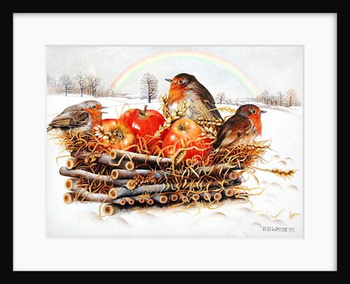 Robins with Apples, 1997 by E.B. Watts