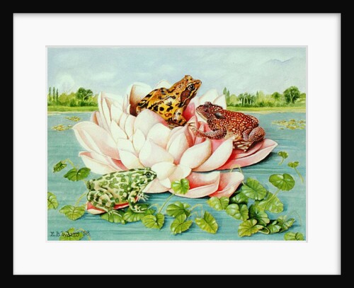 Water Lily, 1998 by E.B. Watts