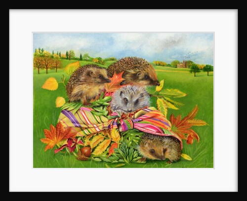 Hedgehogs Inside Scarf, 2000 by E.B. Watts