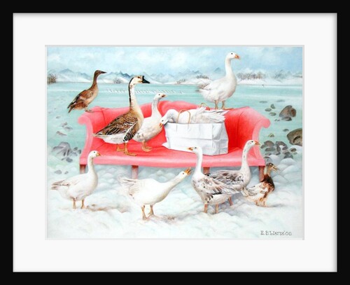 Geese on Pink Sofa, 2000 by E.B. Watts