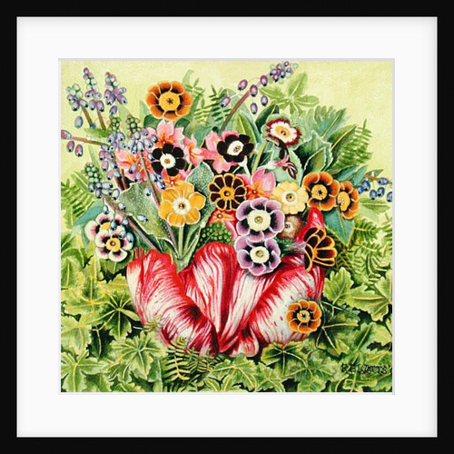 Auriculas, 2000 by E.B. Watts