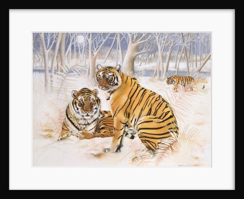 Tigers in the Snow, 2005 by E.B. Watts