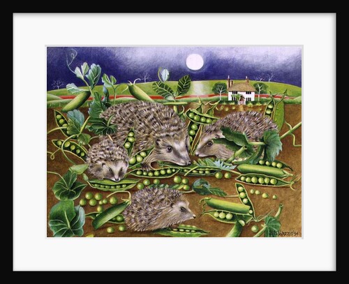Hedgehogs with Peas beside a Poppy field at night, 1994 by E.B. Watts