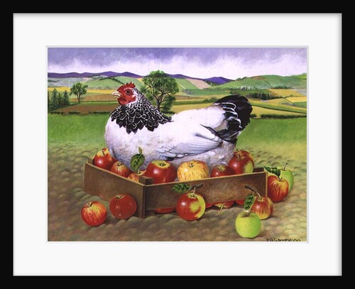 Hen in a Box of Apples, 1990 by E.B. Watts