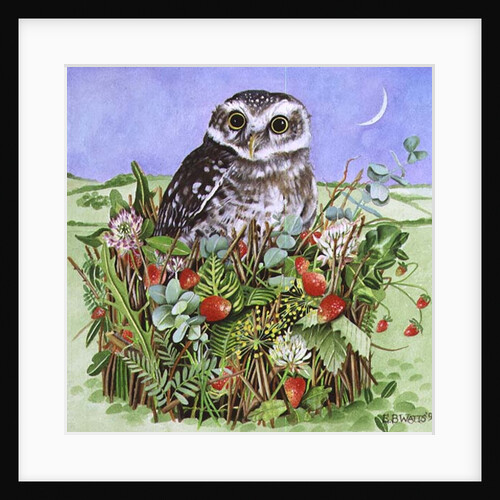 Owl in a Woodland Basket, 1993 by E.B. Watts