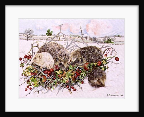 Hedgehogs in Hedgerow Basket, 1996 by E.B. Watts