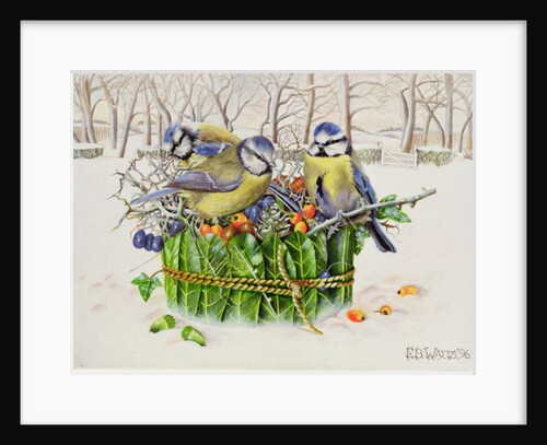 Blue Tits in Leaf Nest, 1996 by E.B. Watts