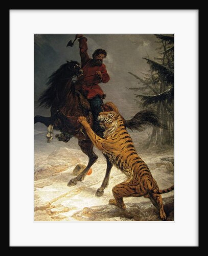 Siberian Tiger Attacking a Cossack by School Russian