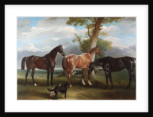 The 6th Duke's favourite hunters and dogs, 1857 by John E. Ferneley