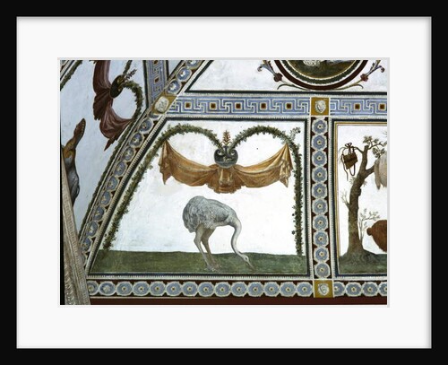 The 'Camera con Fregio di Amorini' detail of an ostrich, 1520's by Giulio Romano