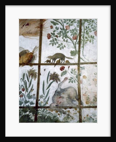 The antechamber of the 'Studiolo' of Francesco de'Medici detail of decoration depicting animals in a garden pergola, 1564-75 by Nanni di B. Bigio & Bartolomeo Ammannati