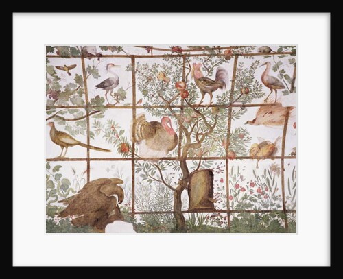 The antechamber of the 'Studiolo' of Francesco de'Medici detail of decoration depicting birds in a garden pergola, 1564-75 by Nanni di B. Bigio & Bartolomeo Ammannati