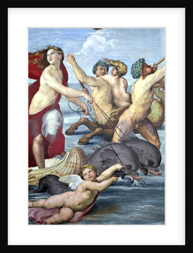 Galatea, detail of mermen and dolphins, 1506 by Raphael