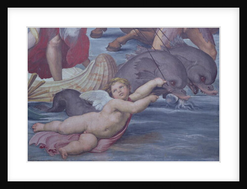 Galatea, detail of putto and dolphins, 1506 by Raphael (1483-1520)