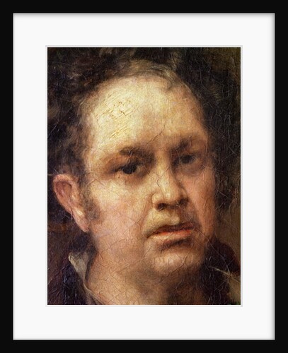 Self Portrait at the Age of 69, c.1815 by Francisco Jose de Goya y Lucientes